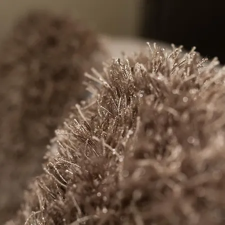 Jerichos Boutique Maison d'hôtes Windermere