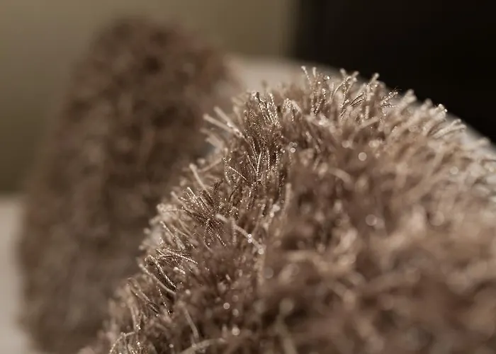 Jerichos Boutique Penzion Windermere